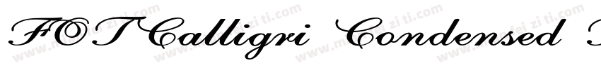 FOTCalligri Condensed Bold ItalicVe字体转换